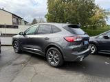 Ford Kuga ST-Line X 2.5 PHEV EU6d HUD Navi Soundsyste - Ford Kuga: Eu