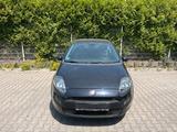 Fiat Punto Evo Tüv/Inspektion/Neu - Fiat Punto Evo aus 2013
