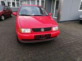 Volkswagen Polo6N.AutomHarlekin.Klima.1A.1Hand, Tüneu - gebrauchte VW Polo aus dem Jahr 1996