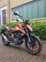 KTM Duke 125 Kundendienst neu & Tieferlegung  - Offers