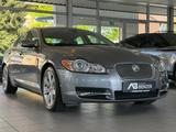 Jaguar XF 3.0 V6 Diesel Edition /S-DACH/KAMERA - Jaguar XF: 3.0