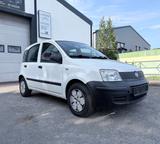 Fiat Panda 1.1 8V Active - Fiat Panda: Active