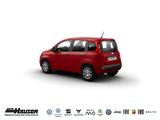 Fiat Panda MY25 Hybrid 1.0 GSE SOFORT CITY-PAKET TEMP - Fiat Panda Gebrauchtwagen
