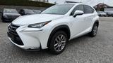 Lexus NX 300 Hybrid Executive Line - Lexus NX Executive