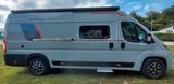 Roller Team Livingstone DUO Advance XL Solar, Luftfederung, - Roller Team Livingstone
