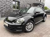 Volkswagen Beetle Basis BMT - Volkswagen Beetle in Hannover