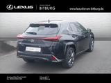 Lexus UX 300h F-Sport 4x4 Schiebedach 15 Jahre Relax G - Lexus: Sc300