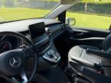 Mercedes-Benz V 250 d Aut. 4MATIC Marco Polo AVANTGARDE lang  - Mercedes-Benz: Marco