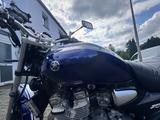 Yamaha XJR 1300 | Kult-Bike | Top gepflegt | - YAMAHA XJR 1300