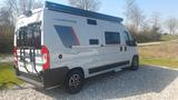 Roller Team Livingstone 2 Sport - Offers