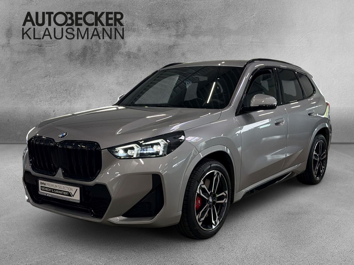 BMW X1 xDrive 20d M SPORT PRO 19''ALARM AHK KAMERA foto 1