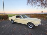Ford Mustang Fastback, 289ci V8, C-Code, CA-Car! - Ford Mustang 289 Gebrauchtwagen