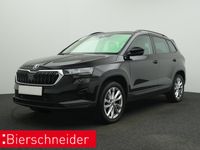 Skoda Karoq - Vorschau Bild 1