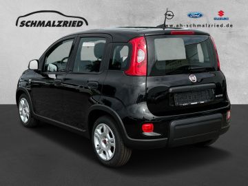 Bild 3 Fiat Panda Base 1.0 Mild Hybrid DAB Klima Freisprech