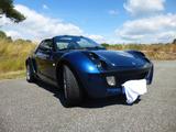 Smart Roadster 45kW - - Smart Roadster Gebrauchtwagen