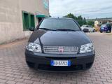 Fiat Punto Classic 1.2 5 porte Active - Fiat Punto Classic mit Benzin-Antrieb