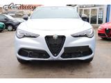 Alfa Romeo Stelvio Veloce Q4 Sportpaket El. Fondsitzverst.  - Alfa Romeo: Sport