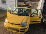 Fiat Panda 1,2 60 PS 5 Sitzer 2010 - Fiat Panda: Sitzer