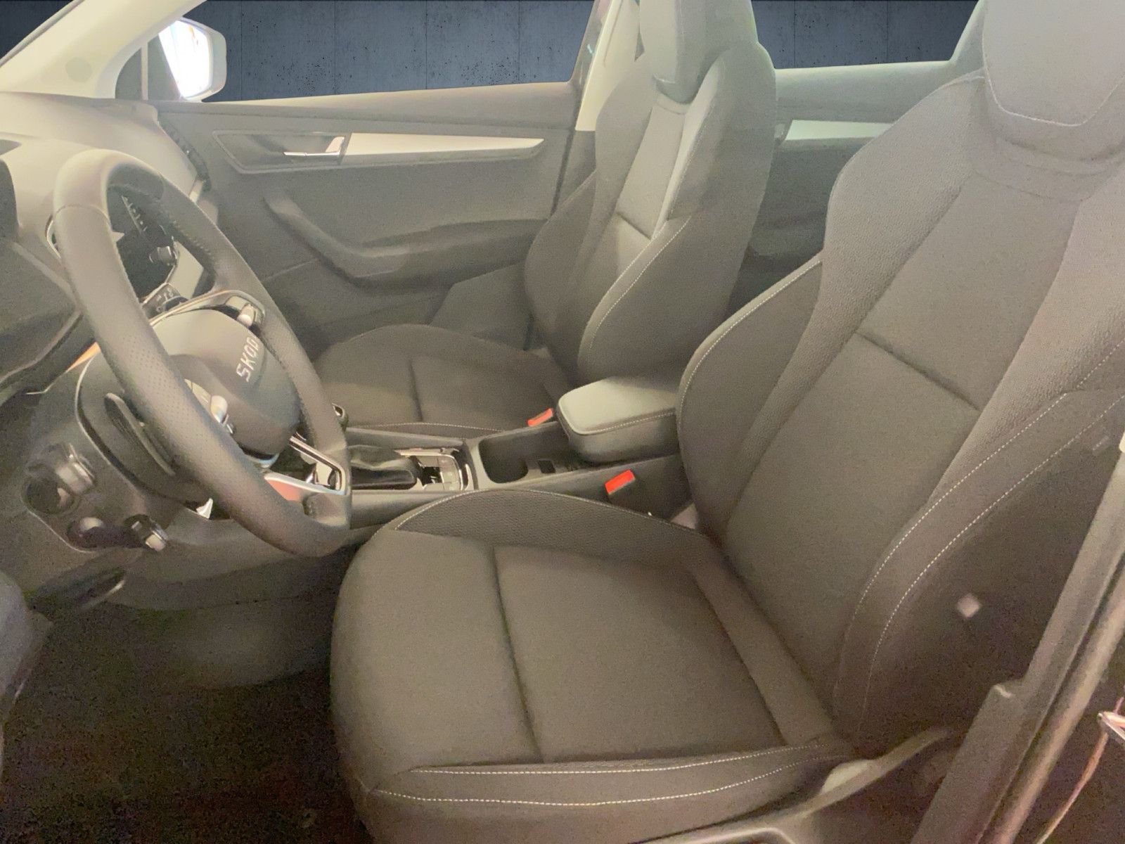 Skoda Karoq - Bild 9