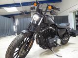 Harley-Davidson Iron 883 Sportster XL *MCJ*diverse Umbauten* - HARLEY-DAVIDSON 883 SPORTSTER XL IRON