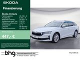 Skoda Octavia Combi 1.5 TSI DSG Selection ACC-Front-La - Skoda Octavia Jahreswagen: Kombi