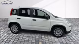 Fiat Panda 1,0 Hybrid (MHEV) Base DAB PDC - Fiat Panda in Chemnitz