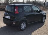 Fiat Panda MY24 1.0 Klima PDC Citypaket - Fiat Panda: My