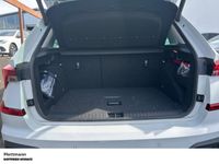 Skoda Kamiq - Vorschau Bild 8
