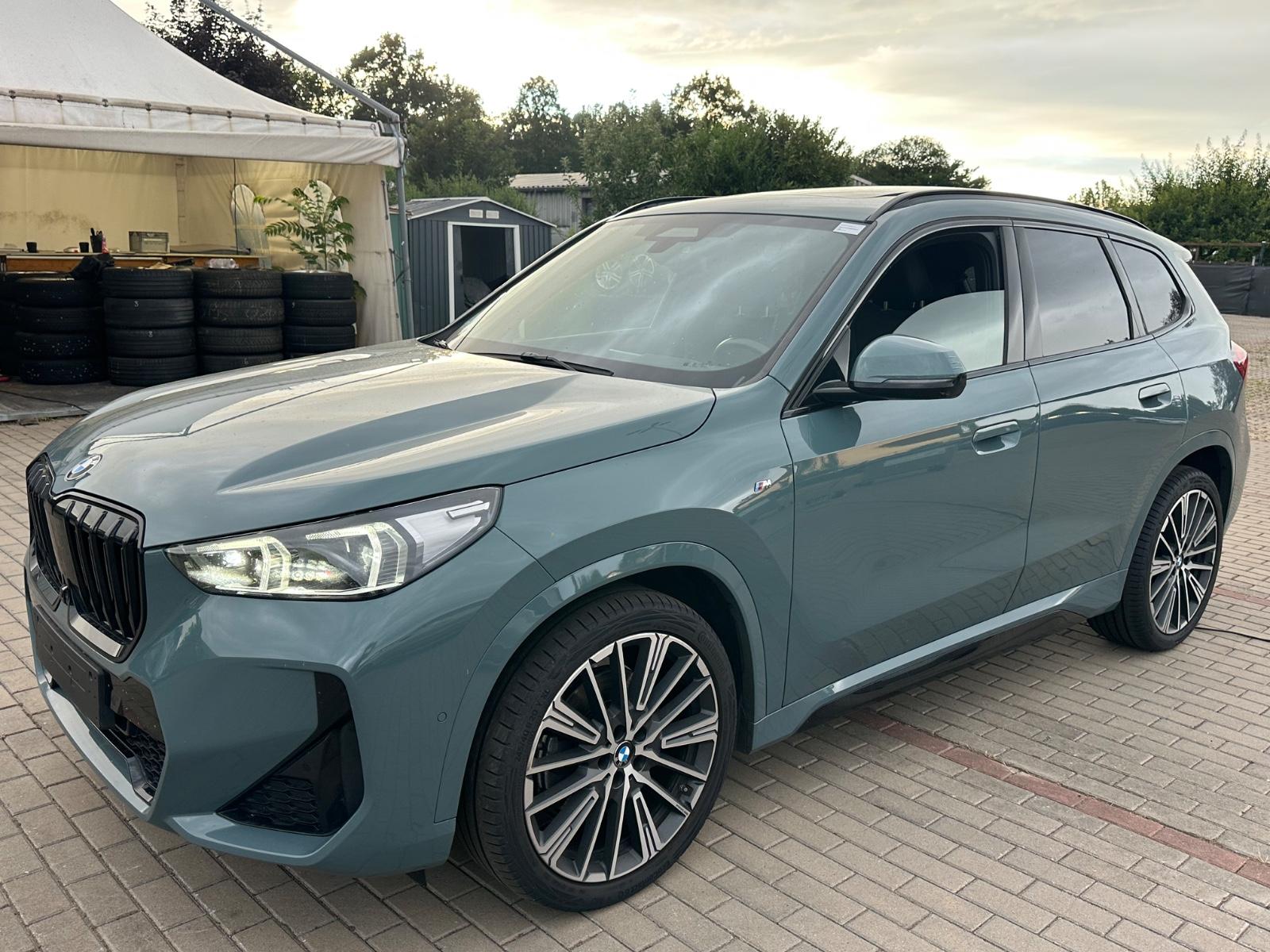 BMW X1 23 d xD M Sport/Pano/Head Up/Memory/20"