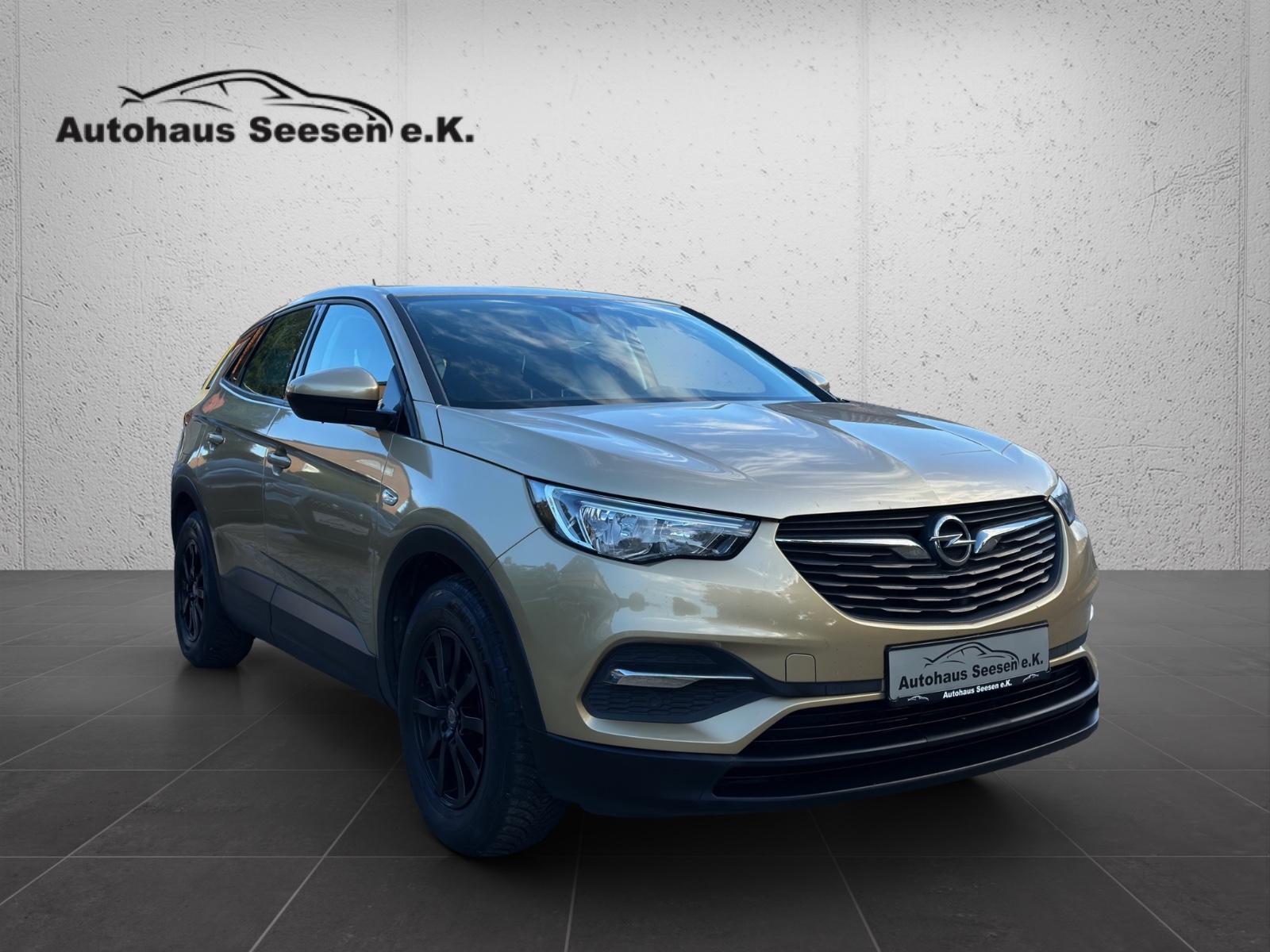 Opel Grandland X *AHK*Tempomat*