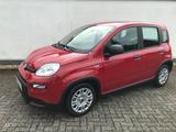 Fiat Panda MY24 1.0 GSE Hybrid Klimaanlage - Fiat Panda Gebrauchtwagen in Aachen