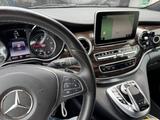 Mercedes-Benz V 250 d Avantgarde Edition Lang  - : Van, Mercedes