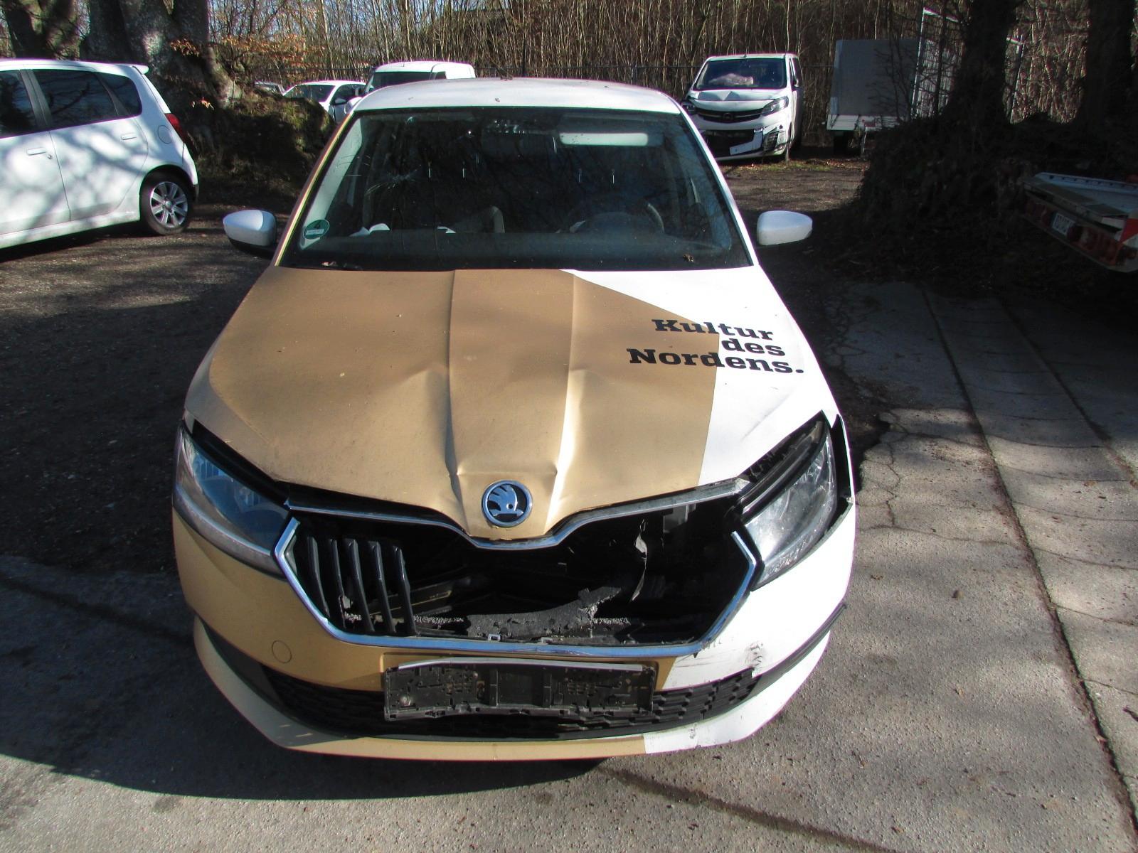 Skoda Fabia Cool Plus