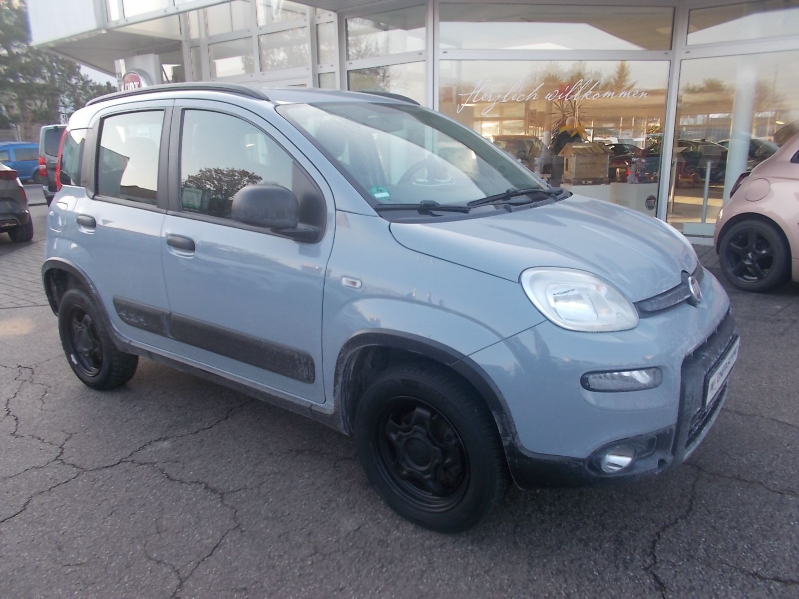 Fahrzeugabbildung Fiat Panda 0.9 TwinAir 4x4 Wild
