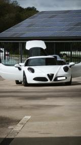 Alfa Romeo 4C 1.8 TBi 16V - - Alfa Romeo 4C Gebrauchtwagen