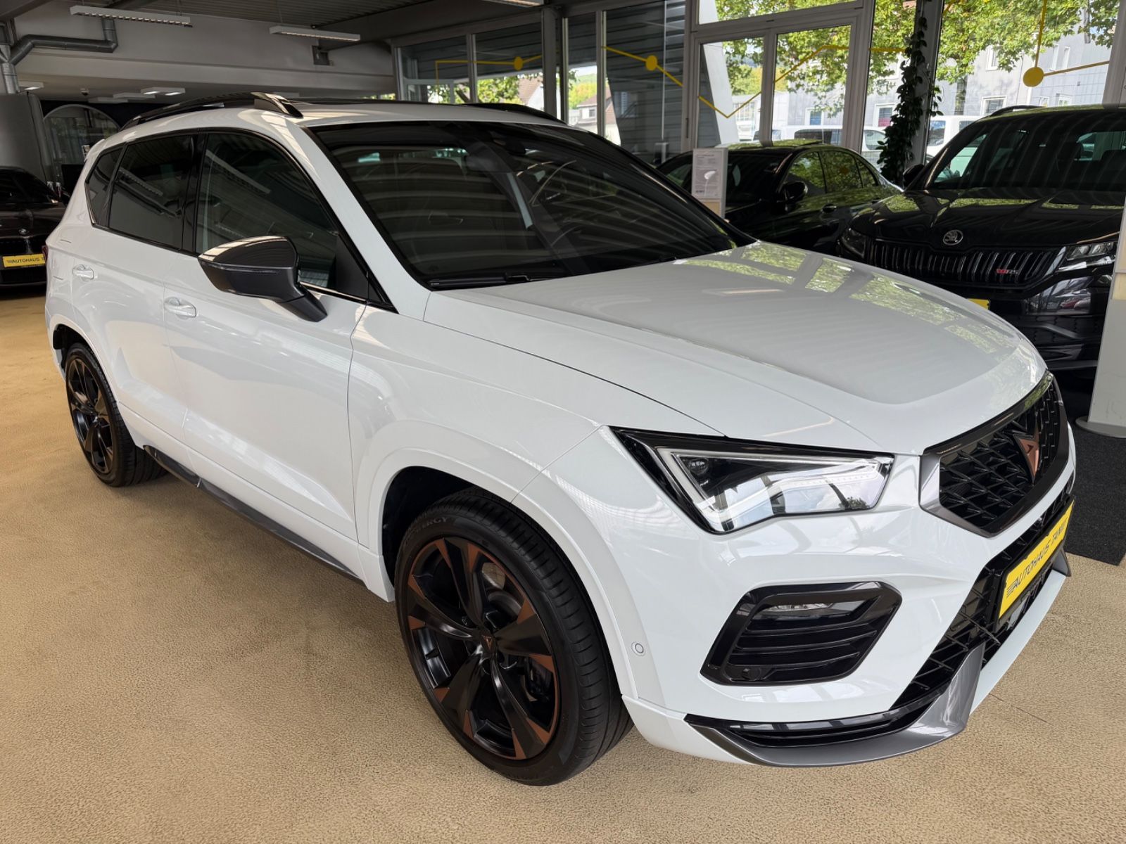 Fahrzeugabbildung CUPRA Ateca 4Drive*Pano