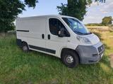 Fiat Ducato 100 L1H1 EZ 12/2011 - Fiat Ducato: 10