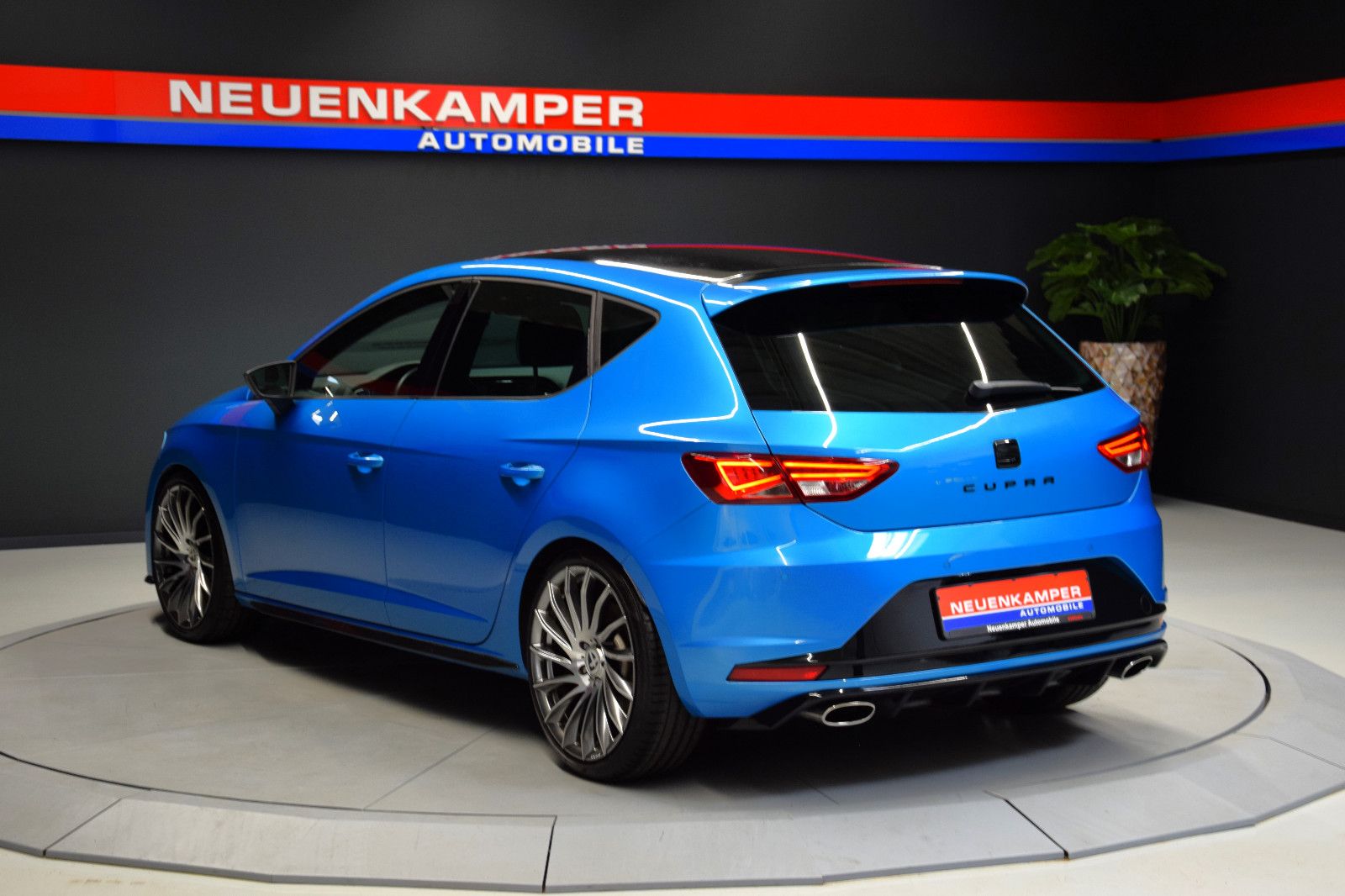 Fahrzeugabbildung SEAT Leon Cupra 290 Dynamic-Paket Sonderlackierung