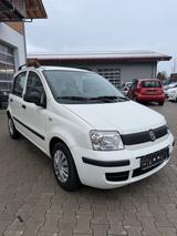 Fiat Panda 1.2 8V Active - Fiat Panda: Weiß, Sitzheizung
