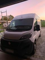 Fiat Ducato - Fiat Ducato in Osnabrück