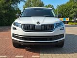 Skoda Kodiaq 2.0 TDI 4x4 STYLE Leder, StHz., ... - Skoda Kodiaq in Hamburg