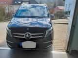 Mercedes-Benz V 250 d 4 Matic.AHK. AVANTGARDE. Extralang.Leder