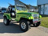 Jeep Wrangler YJ  4,0 H-ZULASSUNG 33X10.5 R15 US CAR - Jeep aus 1992