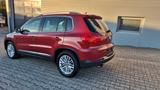 Volkswagen Tiguan 1.4 TSI TOP BlueMot Tec CUP Sport & St... - Firmenfahrzeug gebraucht