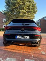 Cupra Leon 2.0 TSI 221kW VZ DSG VZ - Cupra Leon in Bremen