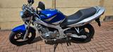 Suzuki GS500 - EZ 2002 - TÜV bis 05 / 2027 - SUZUKI GS500E