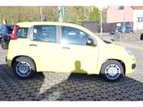 Fiat Pandina PANDA ICON HYBRID 1.0 GSE 65PS PDC RADIO - Fiat von 2026