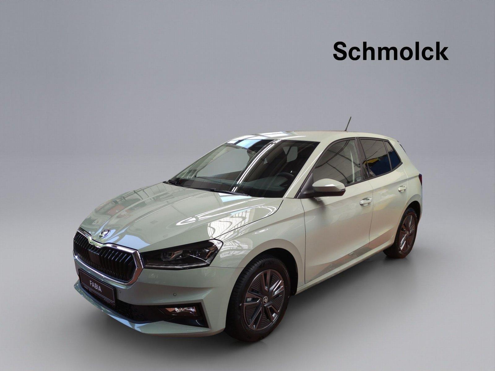 Skoda Fabia Balance 1.0 TSI DSG 116 PS LED ACC PDC