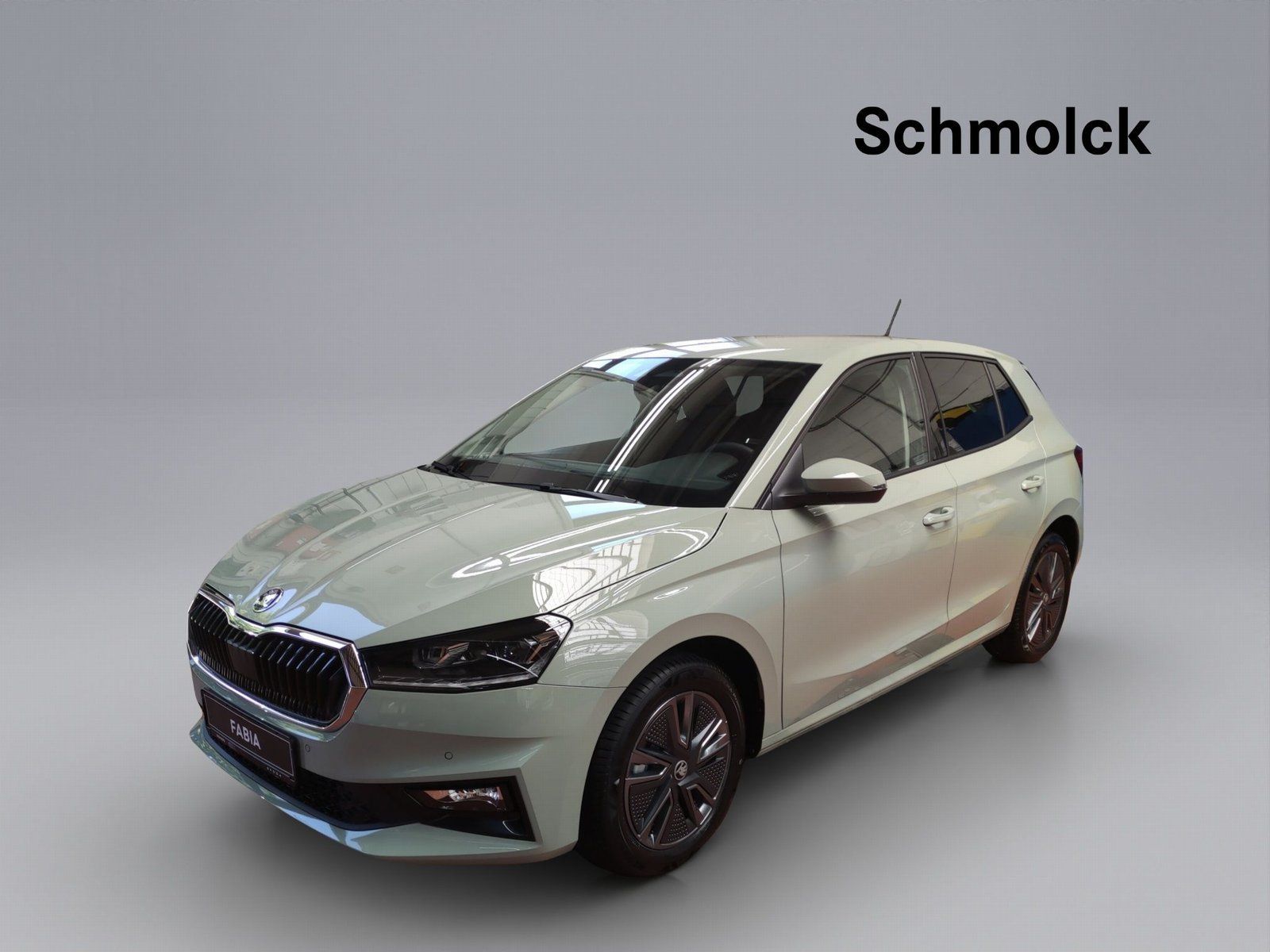 Skoda Fabia Balance 1.0 TSI DSG 116 PS LED ACC PDC