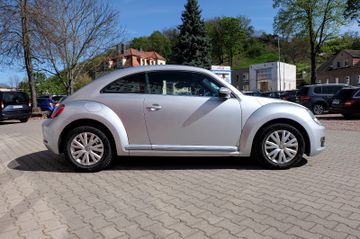 Volkswagen Beetle - 5